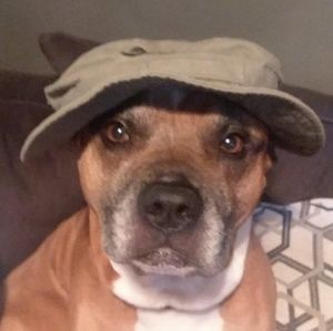 Meet your Posher, Tristan